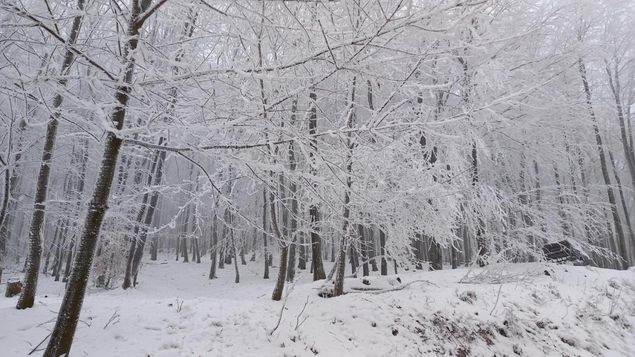 Chata Korenný vrch Pezinská Baba Pezinok Esterno foto
